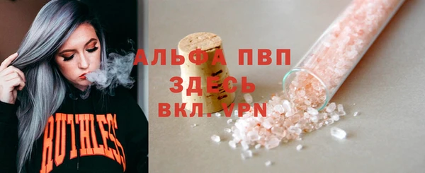 стаф Беломорск