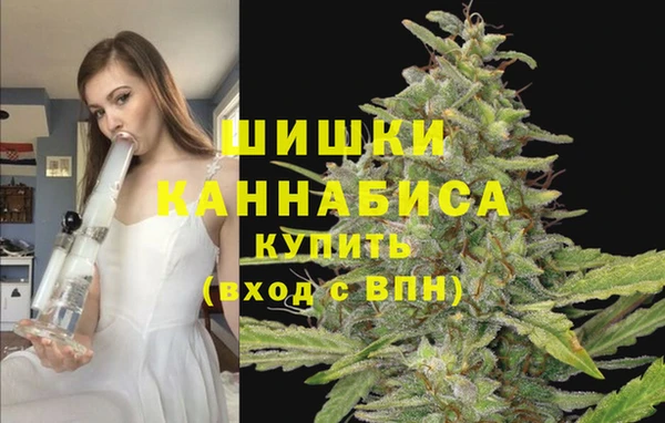 круглые Белокуриха